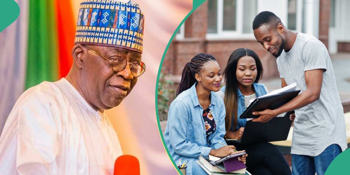 Apply now: Good news as FG announces date to open student loan application portal