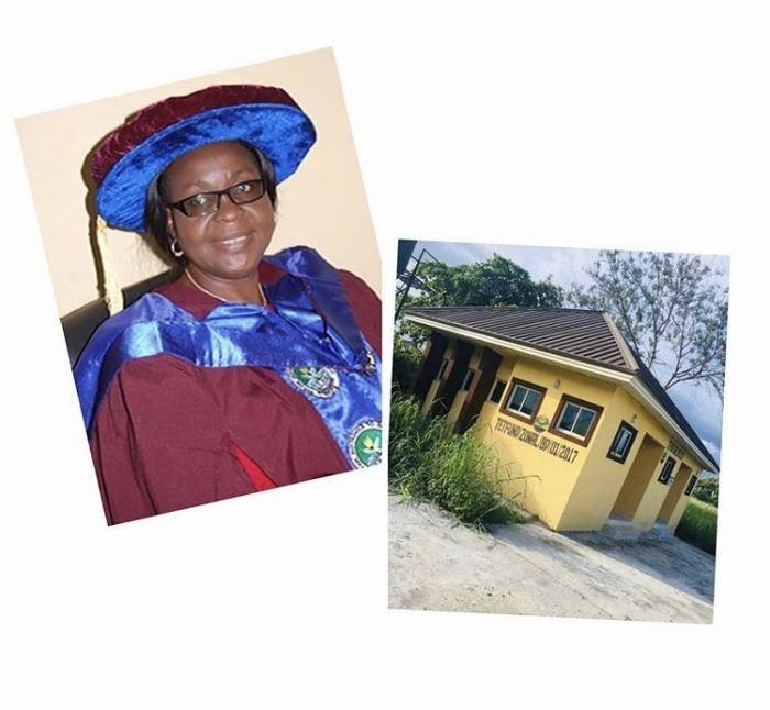 Delta State College of Education Provost Allegedly Spends N36 million in Constructing 2 Toilets