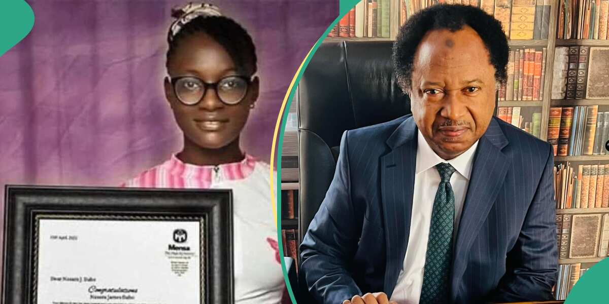 "She solved 34 math problems in 172 seconds": Shehu Sani praises young girl from Southern Kaduna