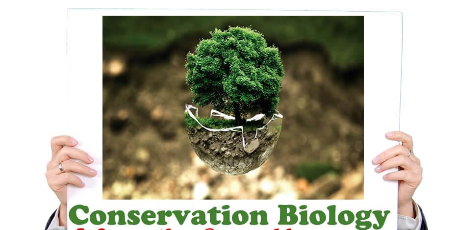 OLevel And UTME Subjects Combination for Studying Conservation Biology in Nigeria