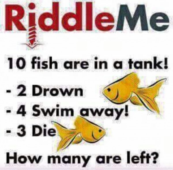 Riddle Me!!!