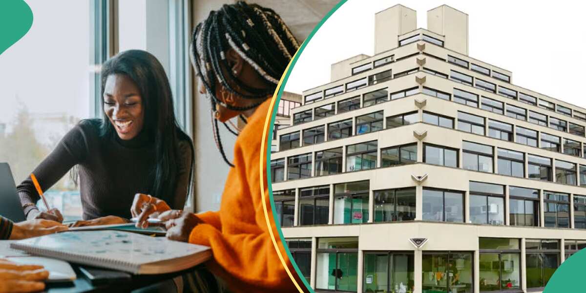"All expenses covered": UK varsity announces tuition-free scholarship for Nigerians