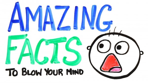 20 Amazing FACTS You Did Not Know....