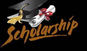 2017 Indian Government Undergraduate & Postgraduate Scholarships For African Students