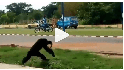 Ape Escapes from UNILORIN Zoo confinement