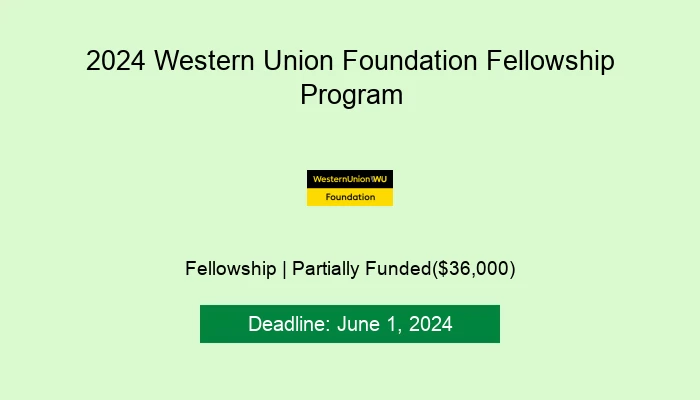 2024 Western Union Foundation Fellowship Program