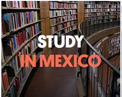 Mexican Government Scholarship For Undergraduate And Postgraduate Students