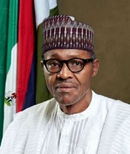 Nigeria Has A New President -  Your Prayers and Wishes for the New Government