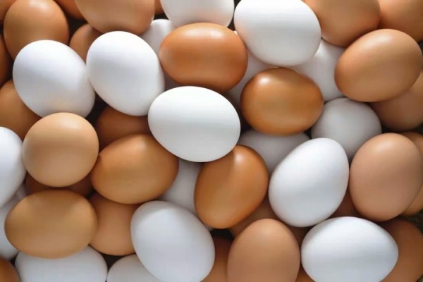 FG To Provide 1bn Eggs For School Feeding Programme