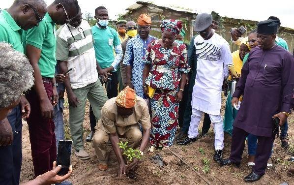 FUNAAB Alumnus Donates Seedlings to the Institution