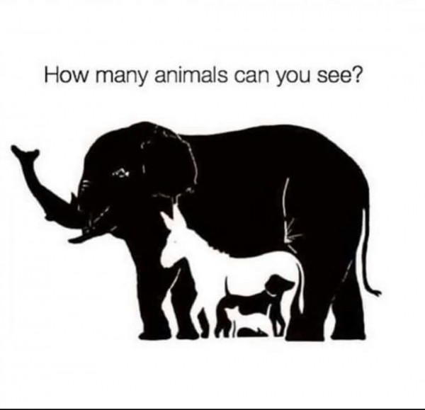 Eye Test!!!