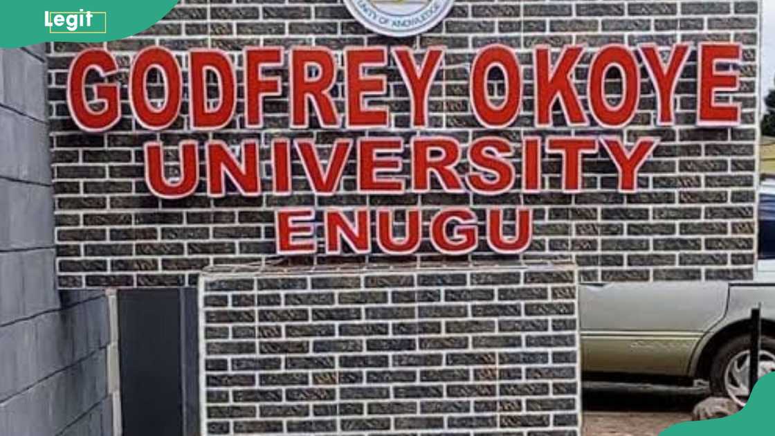 Godfrey Okoye university secures N90 million DAAD grant for sustainable entrepreneurship