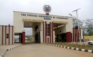 Ex-militants Enrol For Training In FUTA