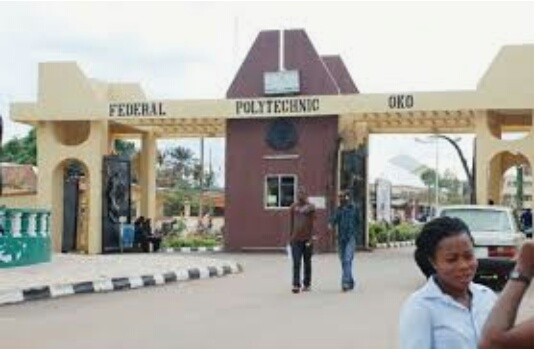 Federal Polytechnic, Oko Bans Beards, Afro Punk Hairstyles, Girls On Trousers