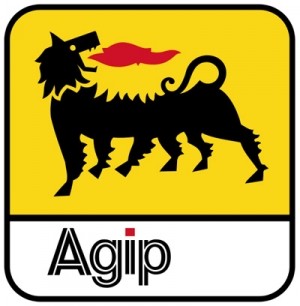 2017 Nigerian Agip Exploration Limited Scholarship Award