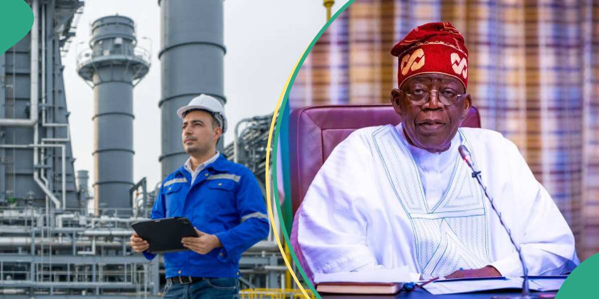 FG announces scholarship for Nigerian students interested in oil & gas industry