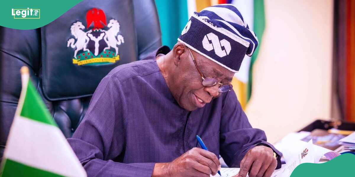 Student loan: Tinubu's govt plans pilot scheme, lists target institutions