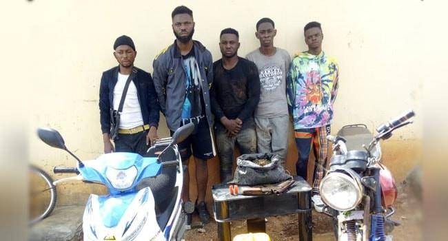 Five EKSU students arrested during cult initiation exercise