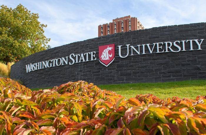 International Departmental Scholarship at Washington State University – USA, 2021