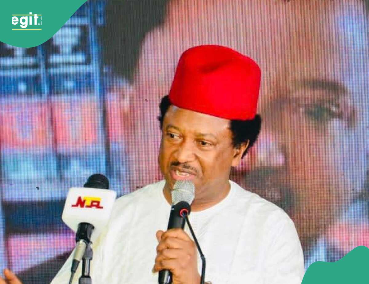 "It'll frustrate millions": Shehu Sani faults FG's benchmark age for university entry