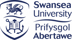 Swansea University