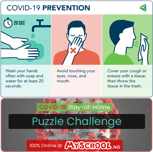 Day 4:  Covid-19 Stay-at-Home Puzzle Challenge