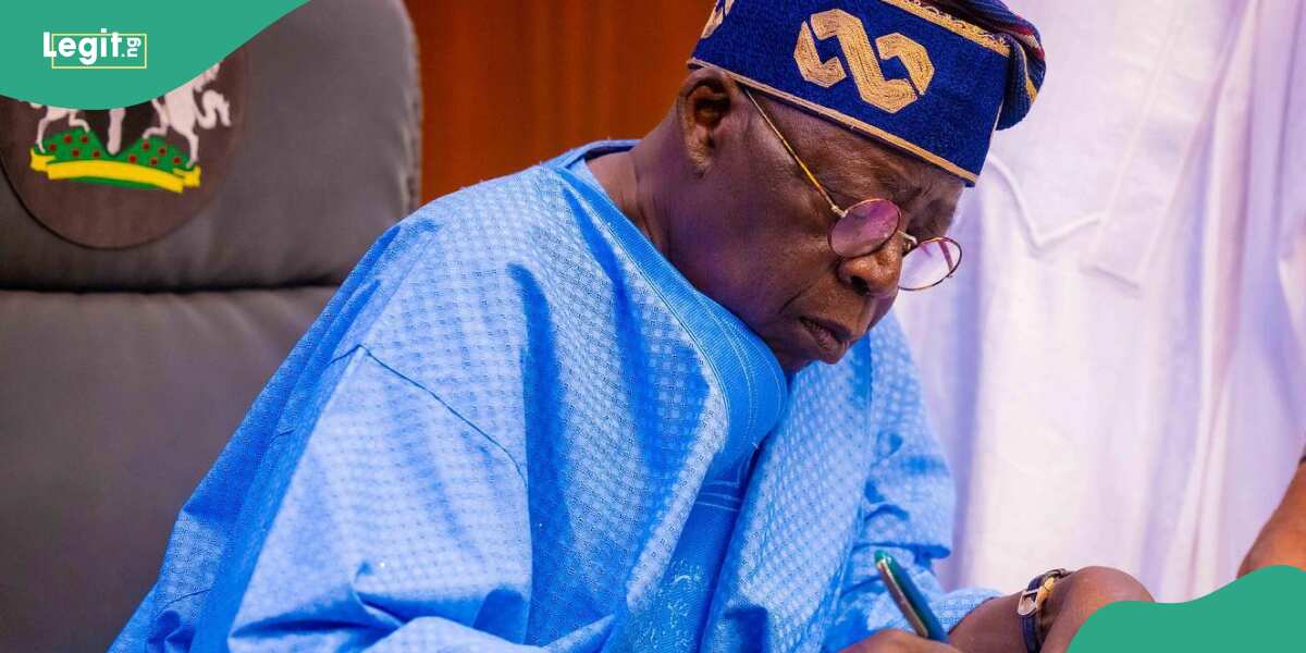 Education in Nigeria: Tinubu approves reconstitution of governing councils and boards for tertiary institutions