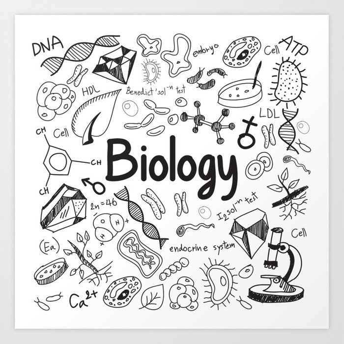 Biology Lesson Note for SS1 First Term year 1