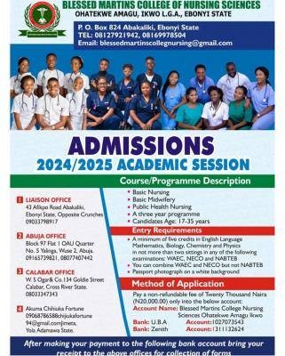 Blessed Martins College Of Nursing Sciences, Ebonyi admission form, 2024/2025