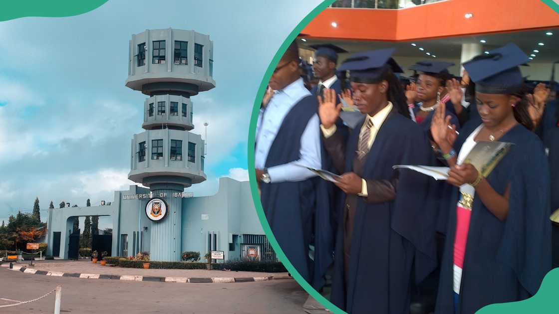 2024/25 admission: University of Ibadan announces date for Post-UTME exam, shares details