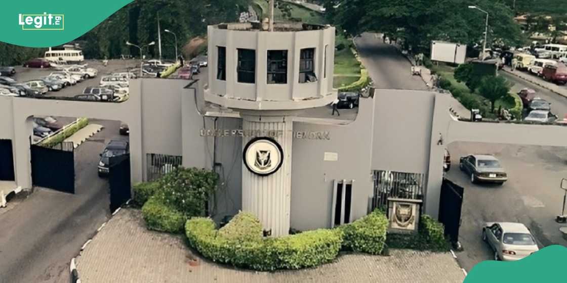 University of Ibadan releases cut-off marks for 2024/25 admission exercise