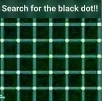 Lol... How Many Black Spots Do You See?