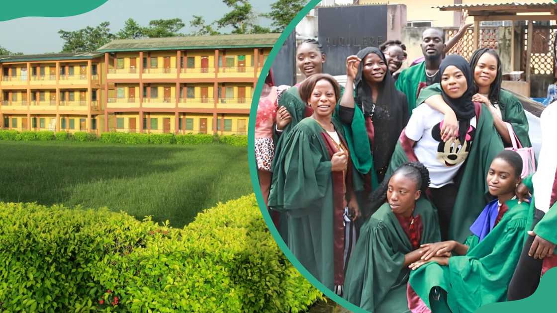 Principal lecturers in Nigerian polytechnics get 3-year deadline to obtain PhD as FG gives approval