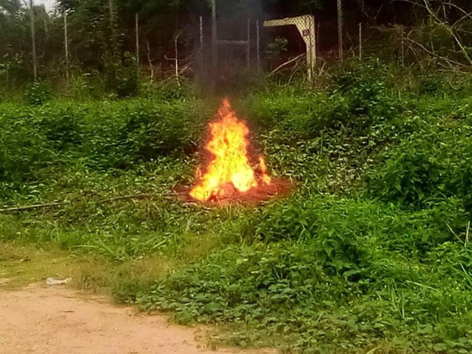 Exam malpractices Management of The Polytechnic Ibadan burns phones seized from students