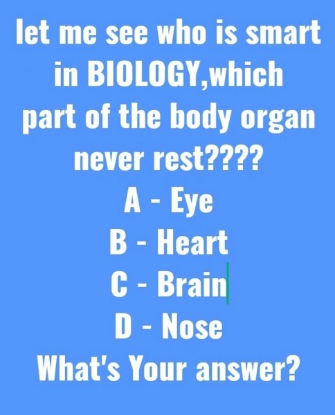 What's Your Answer?