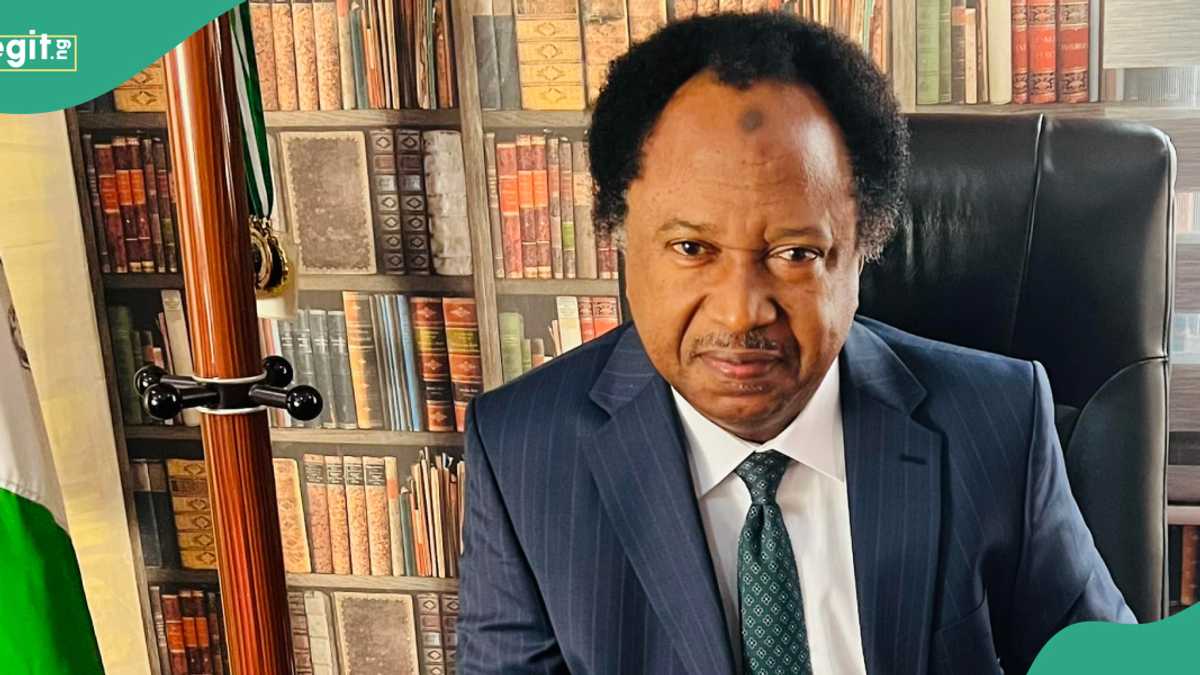 Shehu Sani reacts as Tinubus govt allegedly sacks graduates from universities in Benin Republic