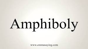 Word Of The Day "Amphiboly "