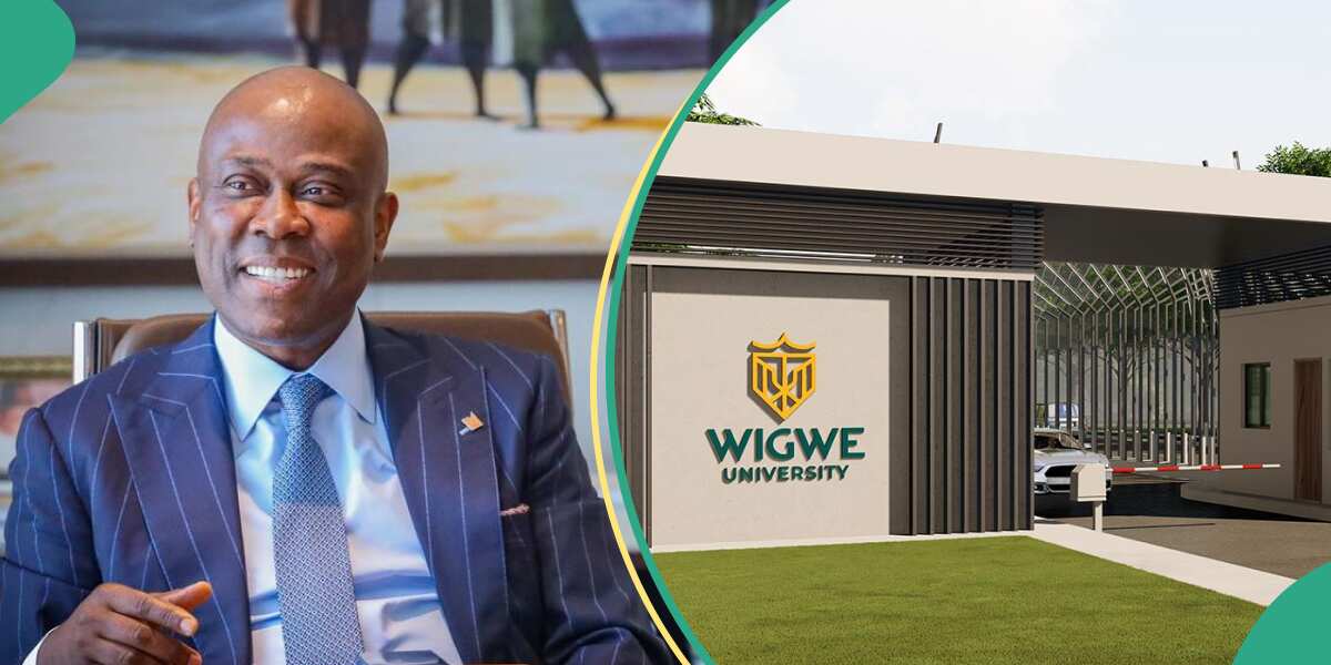 Excitement as Wigwe University set to officially kickoff operations, programmes, other details emerge