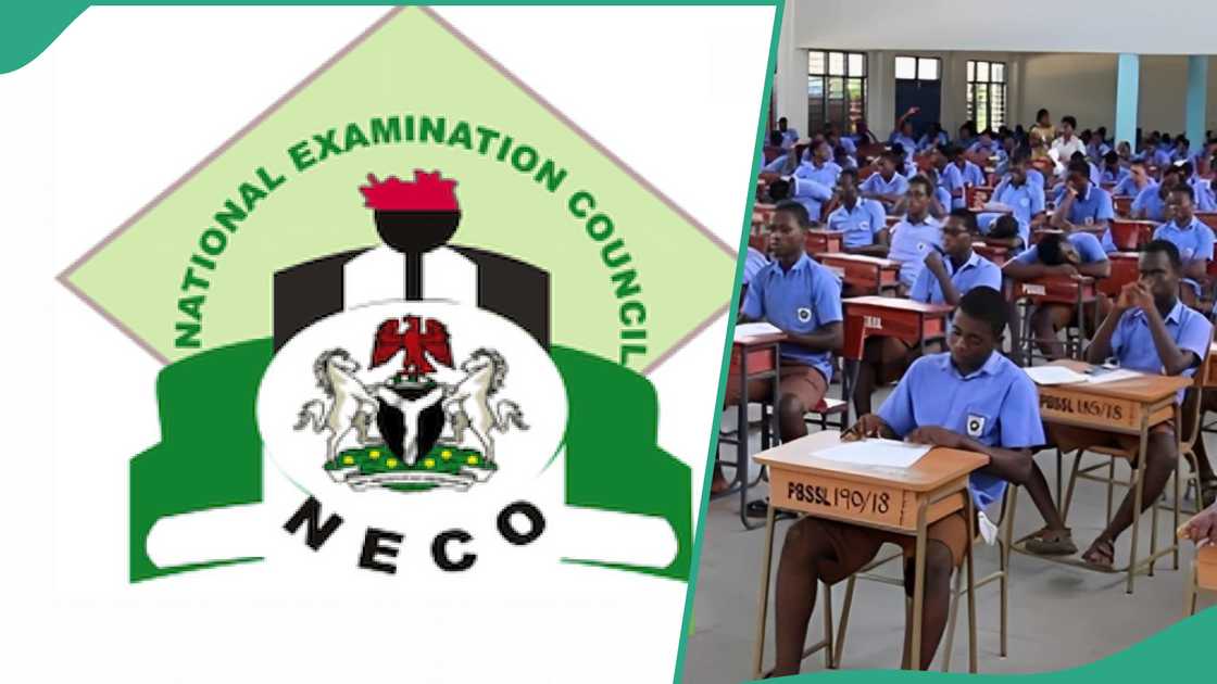 40% of 2024 NECO candidates may miss university admission over failed core subjects  NSSEC