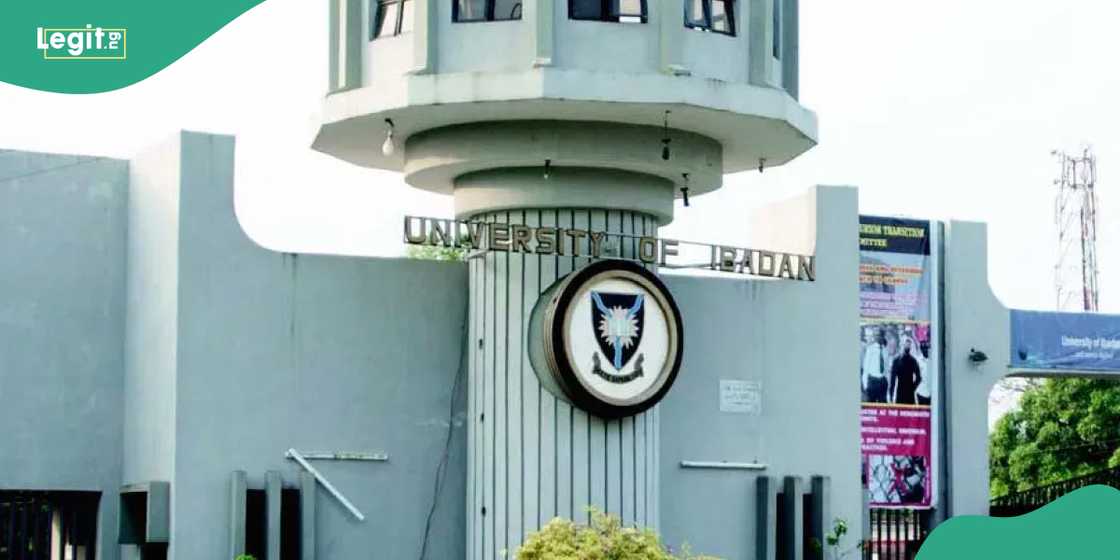 Video: University of Ibadan students stage protest against electricity rationing, tuition hike