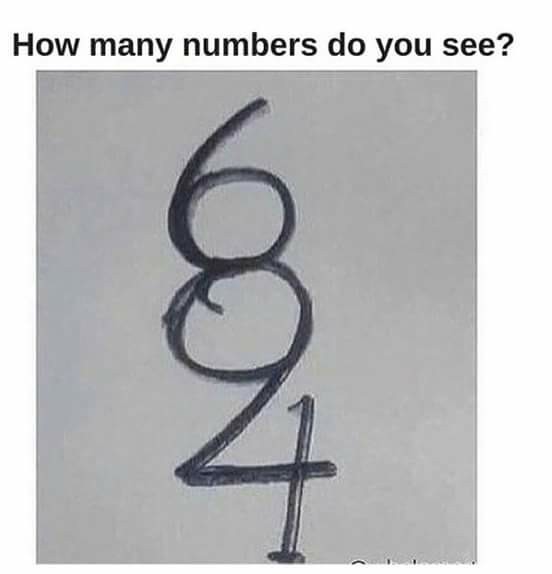 How Many Numbers Can You See?