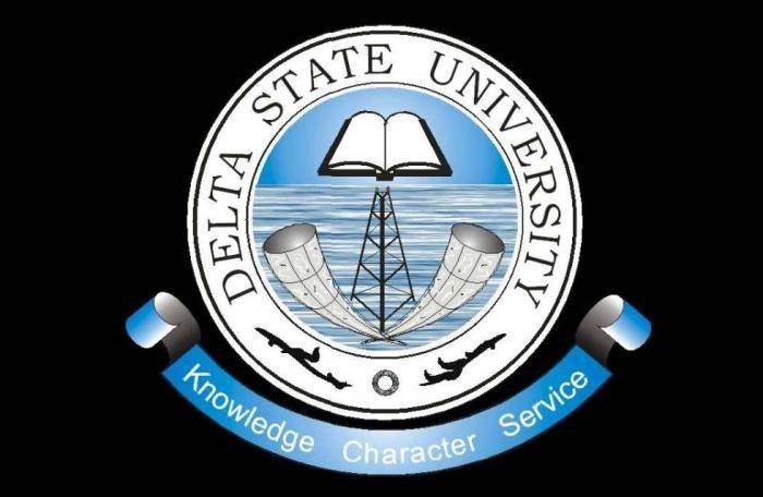 DELSU Conducts First-Ever SUG Online Voting in Nigeria