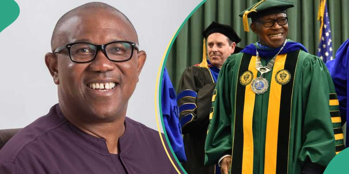 Peter Obi celebrates Nigerian-born for emerging as first black President of State University of New York