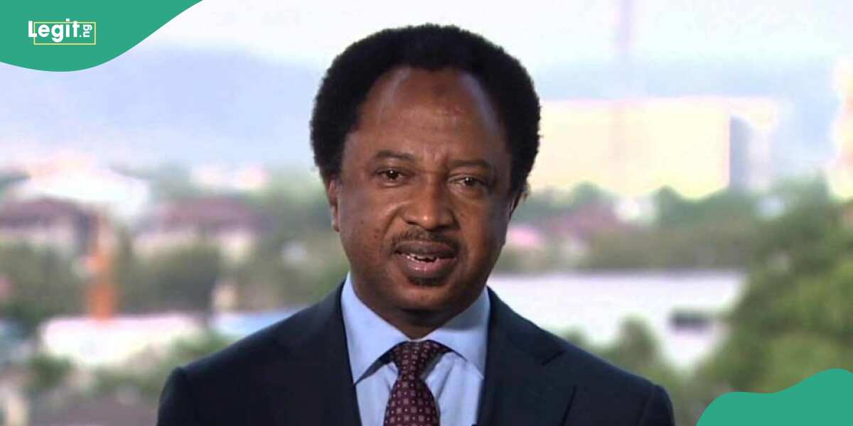 Shehu Sani