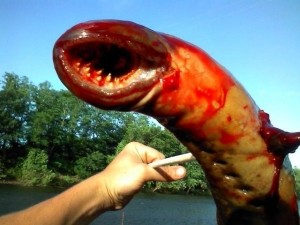 Weird Monster Creature Pulled Out Of River