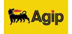 Nigerian Agip Exploration Limited NAE