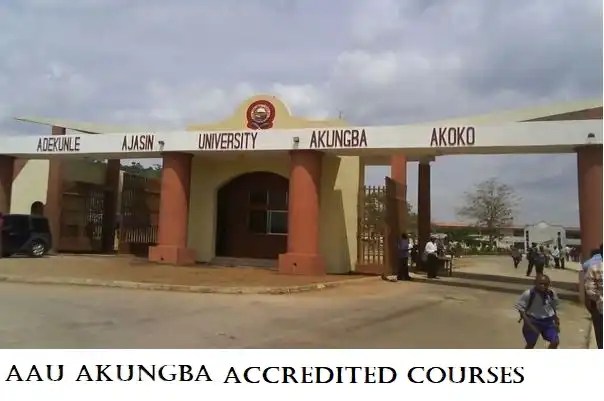 List Of Accredited Courses Offered In AAUA (Adekunle Ajasin University Akungba)