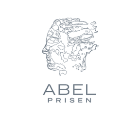 Abel Visiting Scholar Program