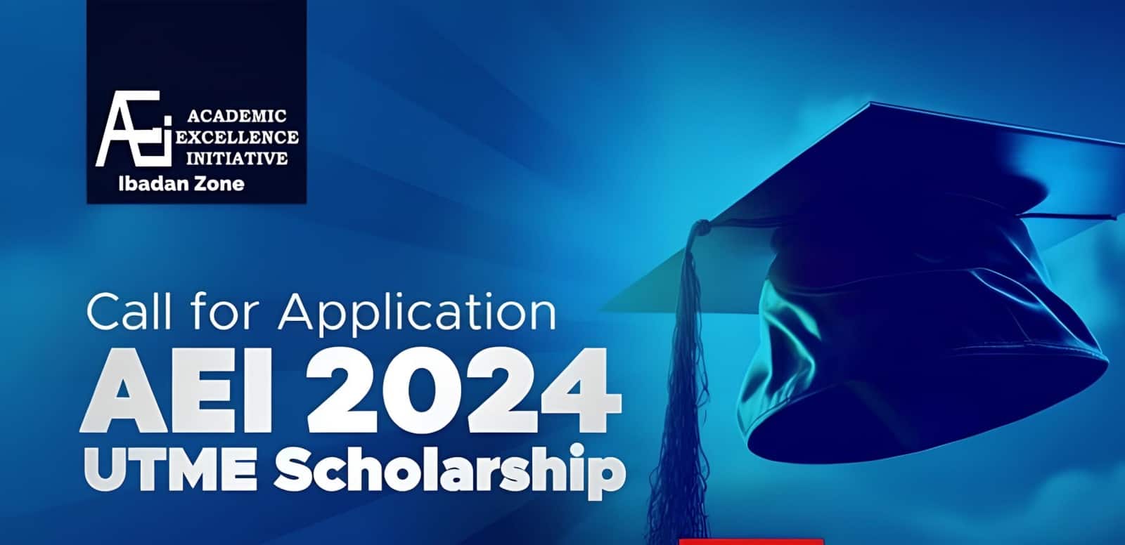 Academic Excellence Initiative (AEI) Scholarship Application 2024