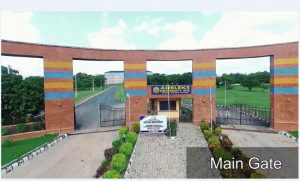 List of Documents Required For Physical ClearanceRegistration in Adeleke University year 1